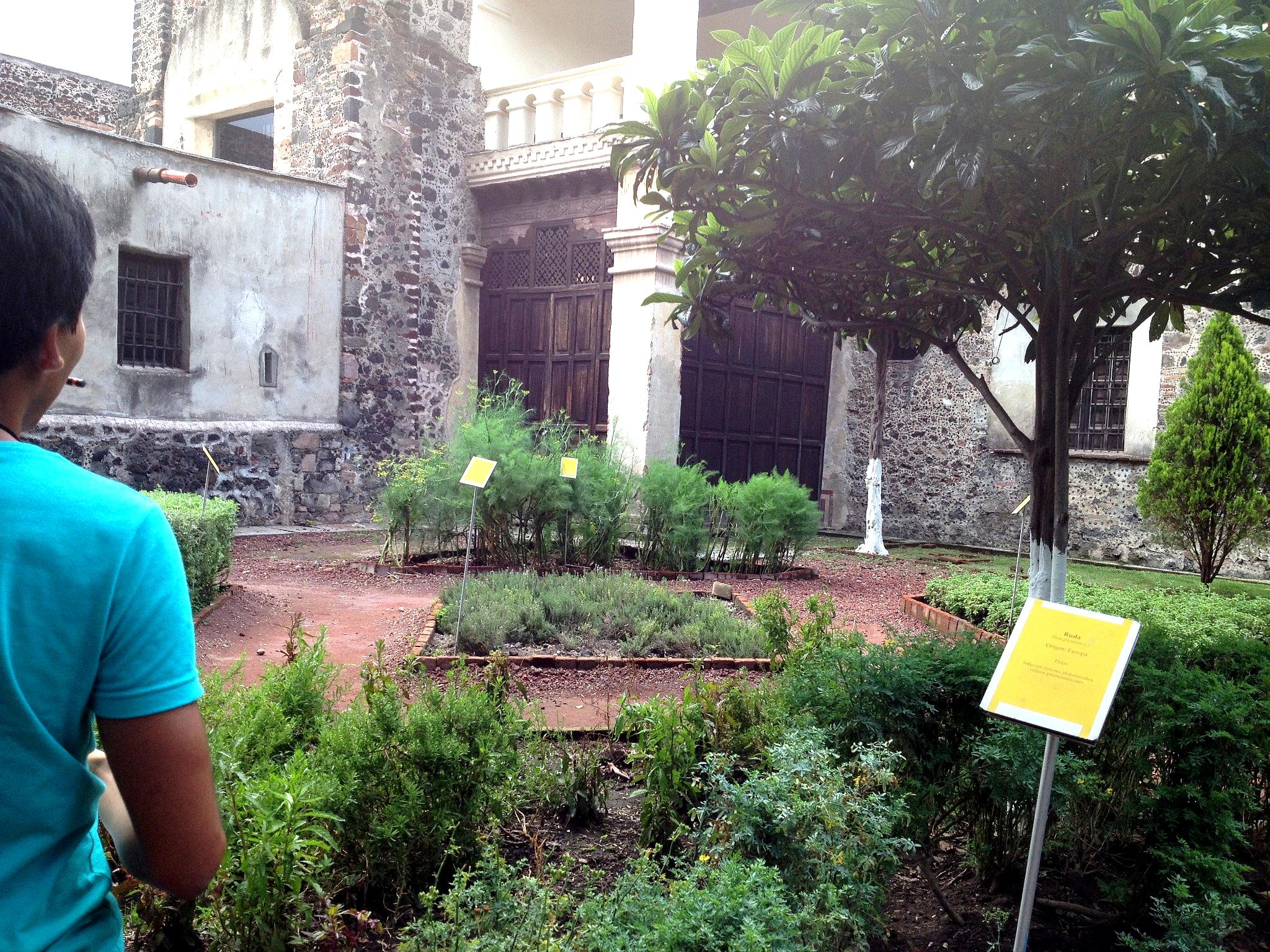 47 Seminario virtual: Estudio de públicos en el Museo de las Intervenciones y criterios de selección de informantes